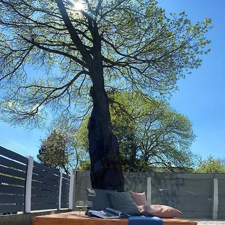 Otium Wellness Apartmanhaz 別荘 バラトンアカラッチャ