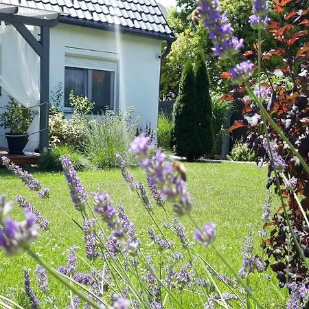 Otium Wellness Apartmanhaz * バラトンアカラッチャ