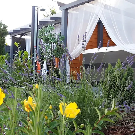 Otium Wellness Apartmanhaz バラトンアカラッチャ